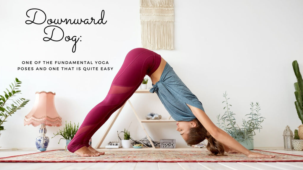 Downward Dog Yoga Term - This is one of the fundamental yoga poses and one that is quite easy.