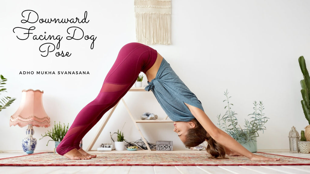 Downward Facing Dog Benefits by Loving Essential Oils