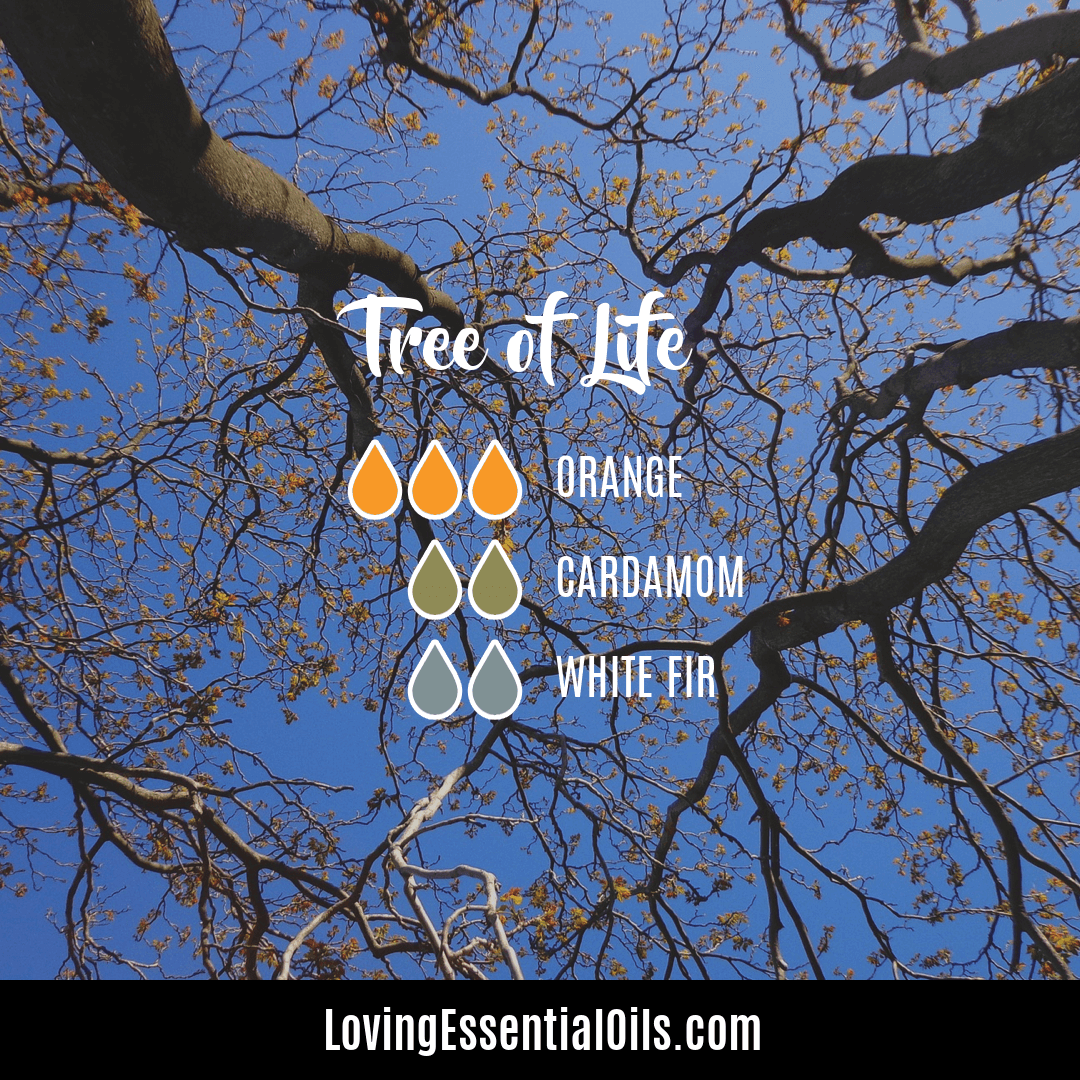 Earth diffuser blends - Tree of Life by Loving Essential Oils