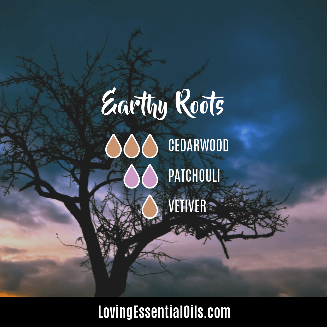 Earthy roots diffuser blend