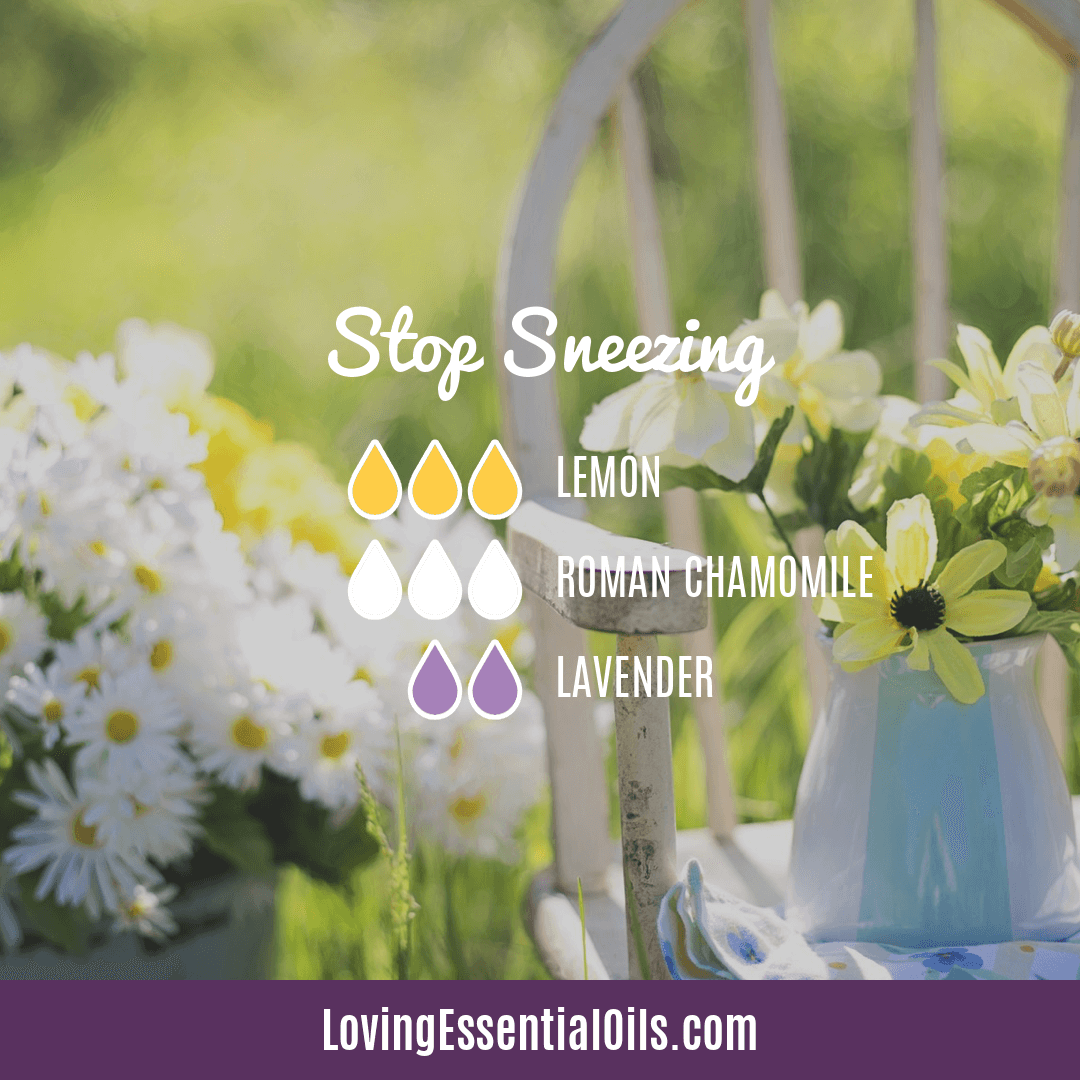 Essential Oil Blend for Allergies - Stop Sneezing by Loving Essential Oils with lemon, roman chamomile, and lavender