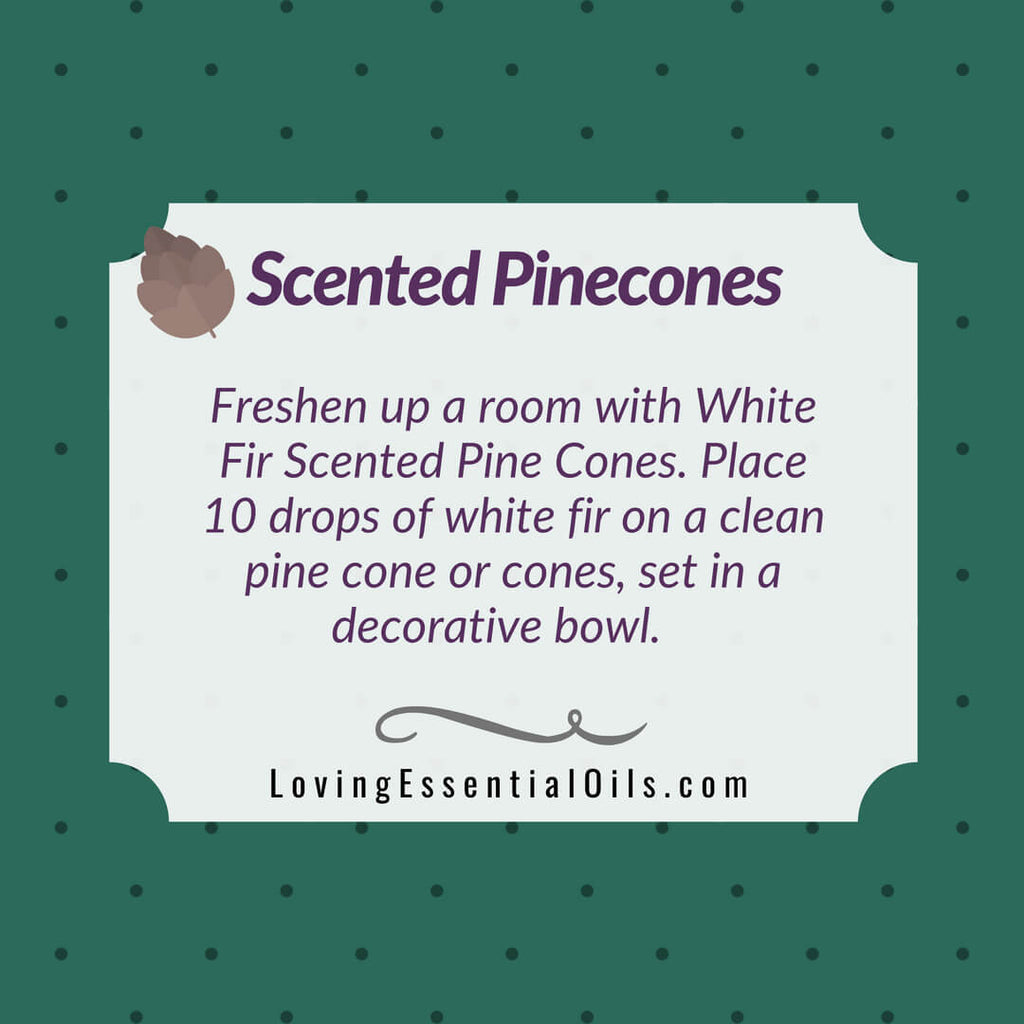 white fir essential oil scented pinecones