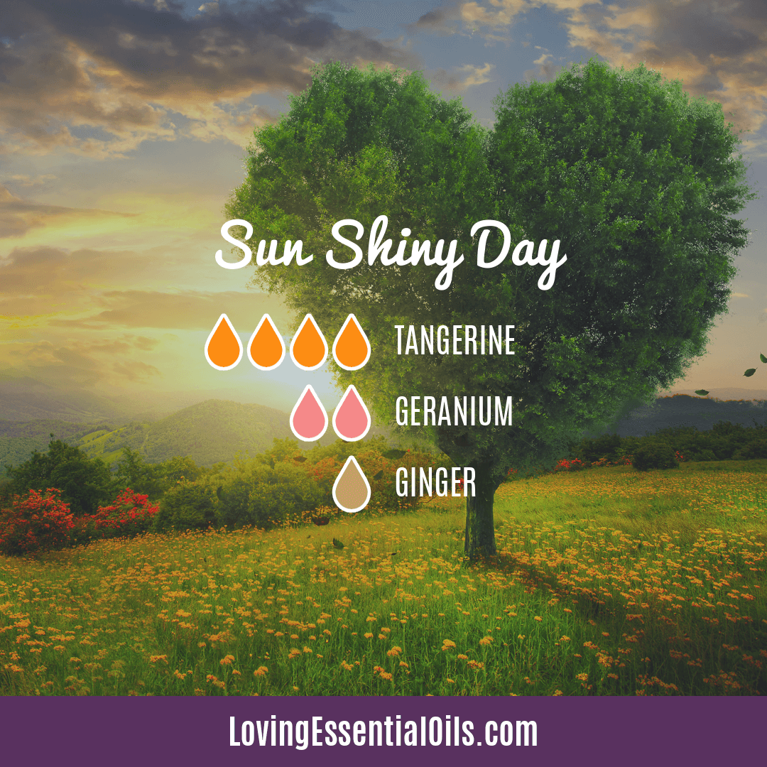 Sun Shiny Day Diffuser Blend - 12 Benefits of Essential Oil Diffusers by Loving Essential Oils