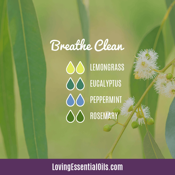 Breathe Eucalyptus Essential Oil Blend Recipes EO Spotlight | Diffuser Blend by Loving Essential Oils