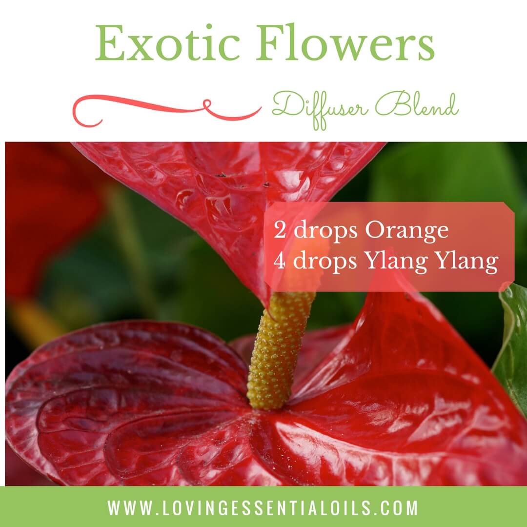 Exotic Flowers Diffuser Blend for Spring with 2 drops orange and 4 drops ylang ylang essential oil by Loving Essential Oils
