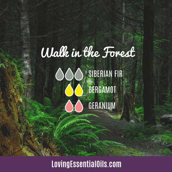 Fir oil diffuser blend - Walk in the forest by Loving Essential Oils