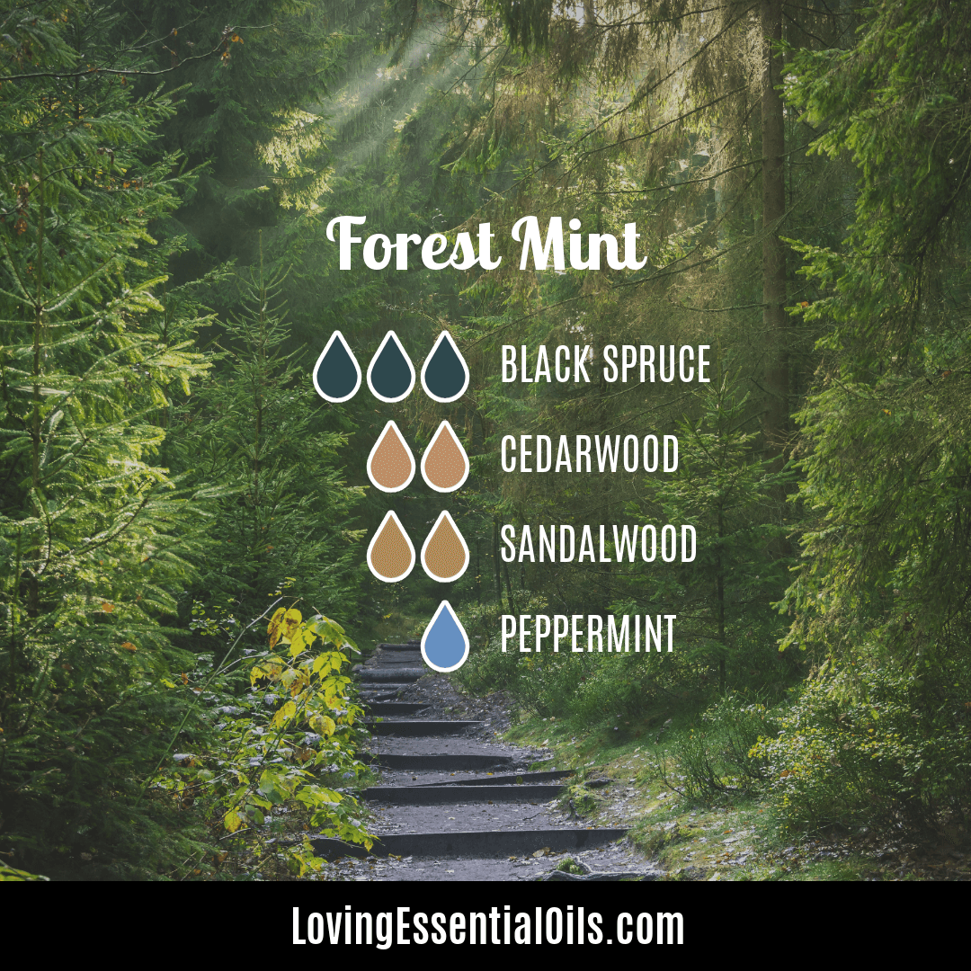 Forest Bathing Diffuser Blends - Forest Mist Diffuser Blend by Loving Essential Oils