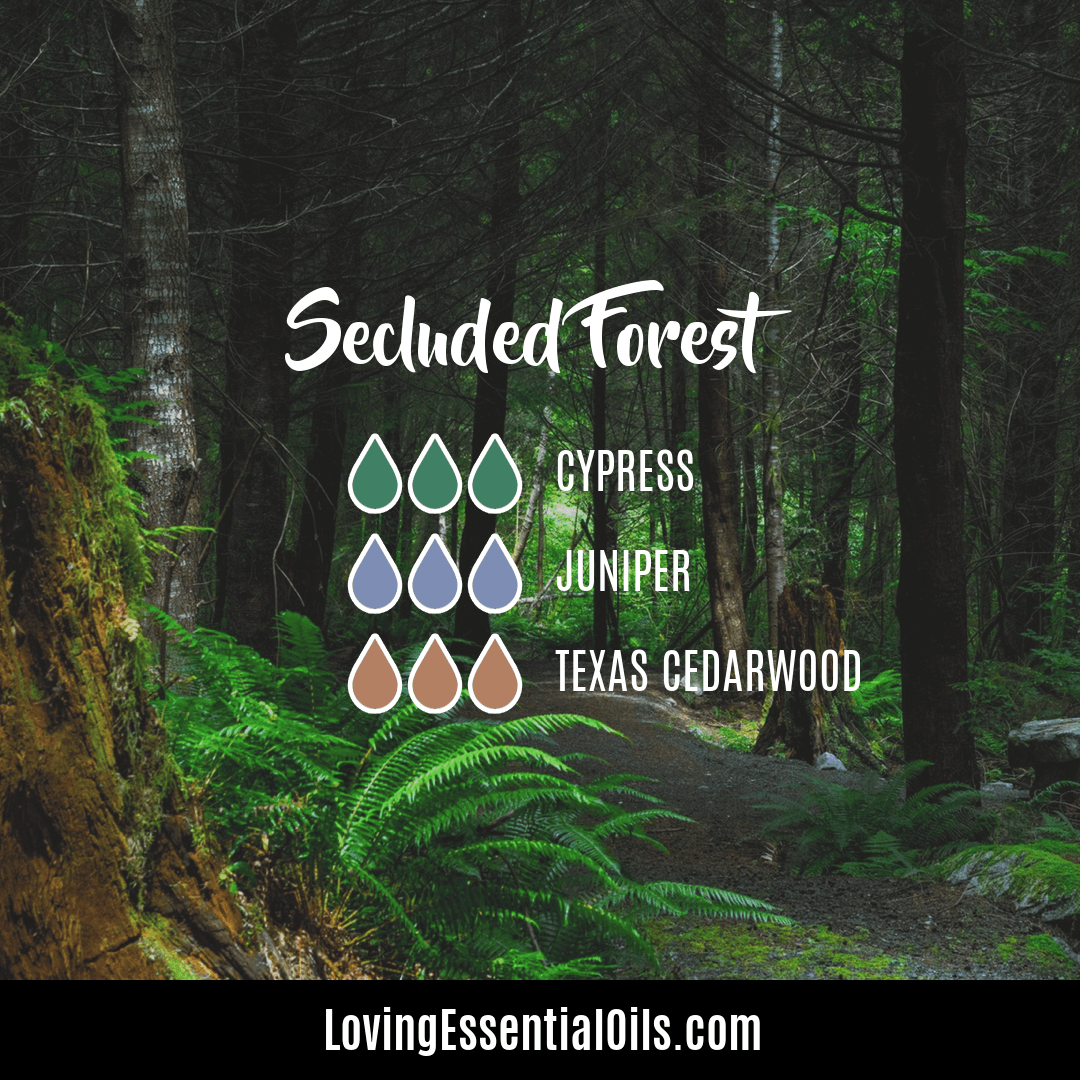 Forest bathing essential oil blend - Secluded Forest by Loving Essential Oils