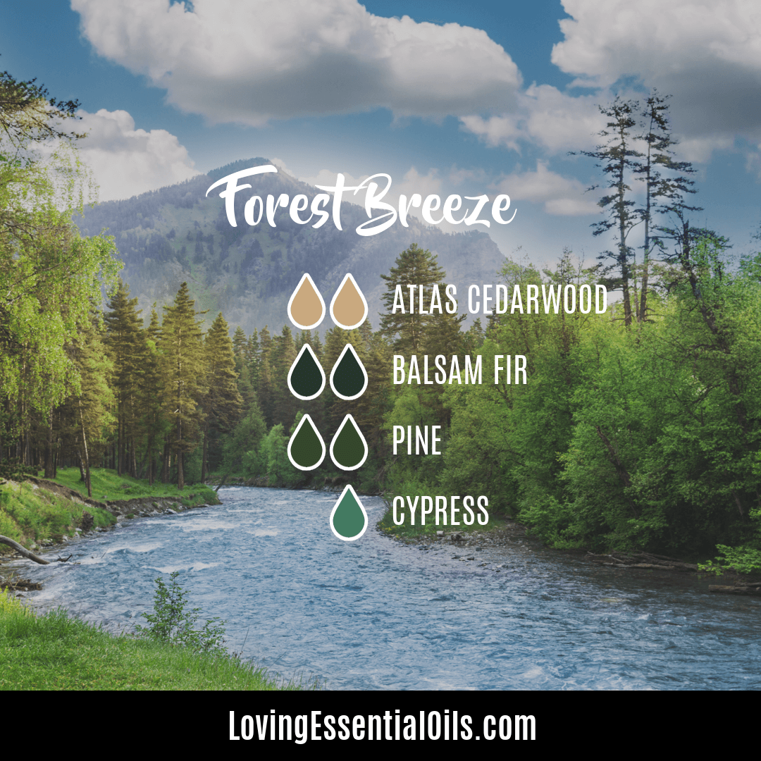 Forest breeze essential oil blend by Loving Essential Oils