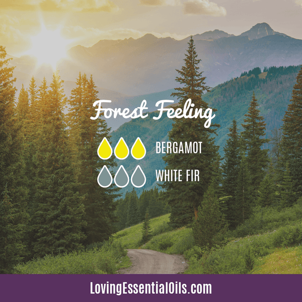 Essential Oil Blends for Uplifting Mood With Diffuser Blends by Loving Essential Oils | Forest Feeling with bergamot and white fir