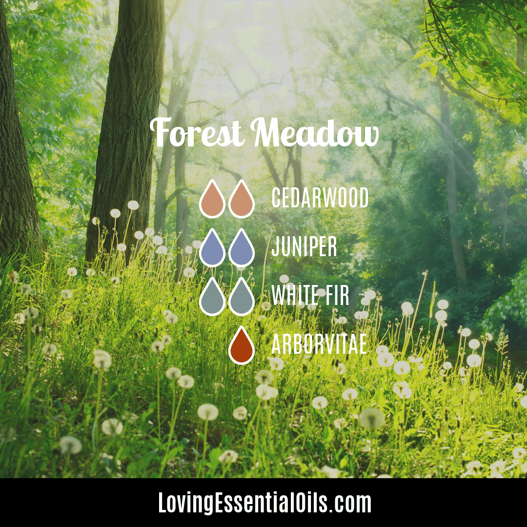 Forest meadow diffuser blend by Loving Essential Oils