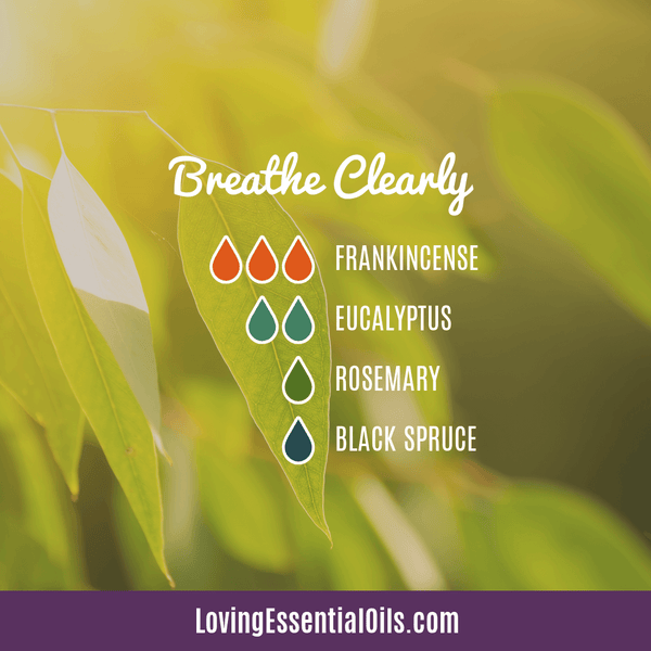 Frankincense Oil Recipes by Loving Essential Oils | Breathe Clearly with frankincense, eucalyptus, rosemary, and black spruce