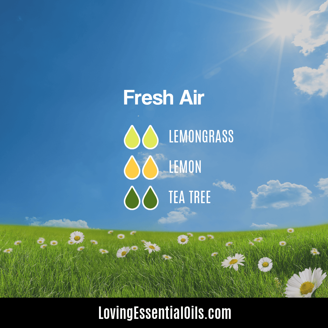 Fresh air essential oil diffuser blend with lemon, tera tree, and lemongrass