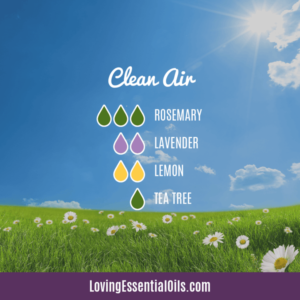 Essential Oils to Kill germs in the Air - Clean Air Diffuser Blend by Loving Essential Oils | EO blend of rosemary, lavender, lemon, tea tree