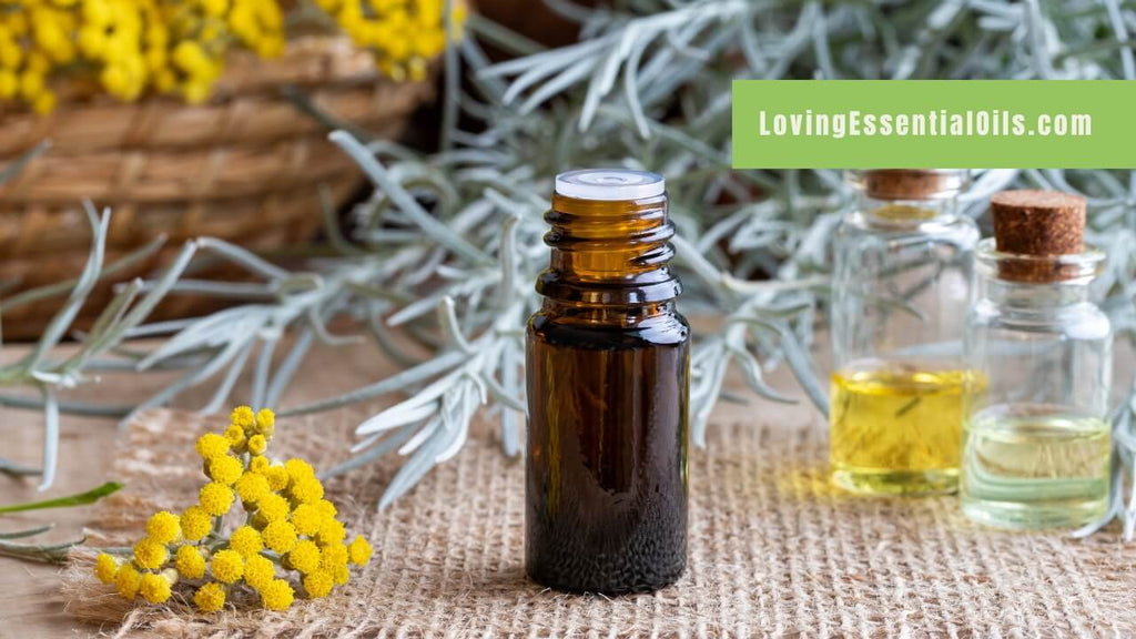 Helichrysum essential oil blends image