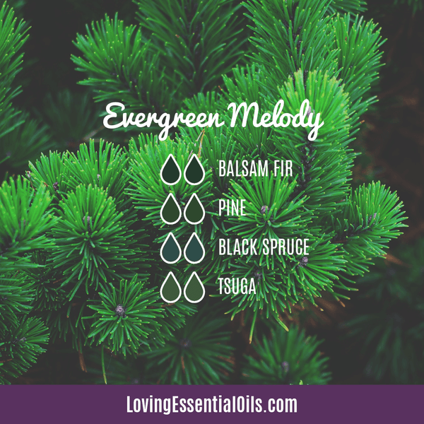 Hemlock Essential Oil Diffuser Blends - Evergreen Melody by Loving Essential Oils