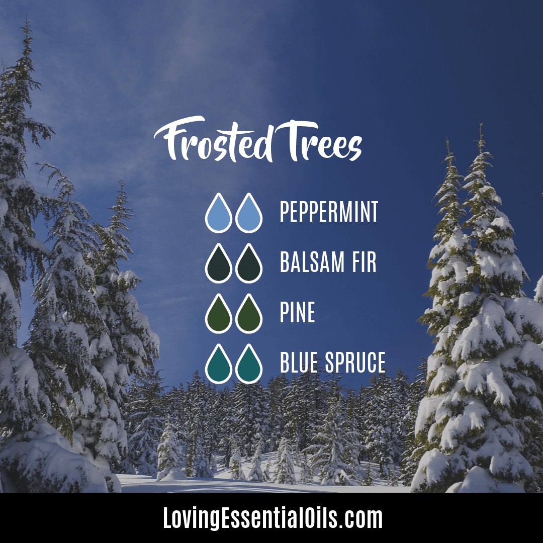 idaho blue spruce essential oil benefits