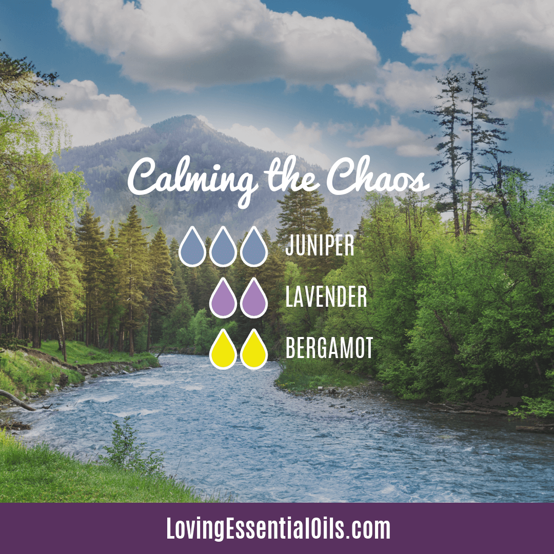 Juniper Berry Diffuser Blend - Calming the Chaos by Loving Essential Oils with juniper, lavender, and bergamot