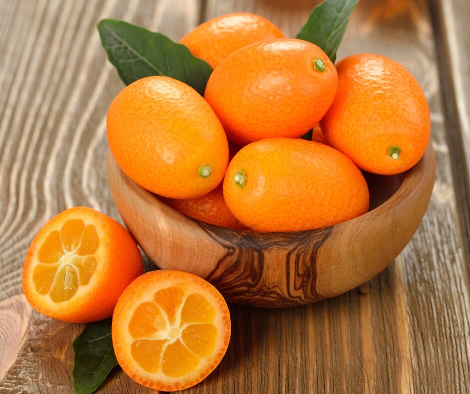 Kumquat Essential Oil for Aromatherapy