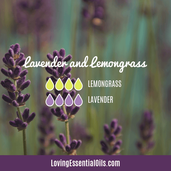 lindre koncept Bekræfte Lavender and Lemongrass Essential Oil - 5 DIY Aromatherapy Recipes