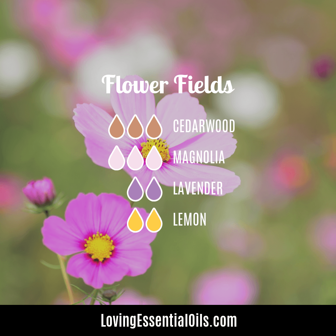 Lavender and magnolia essential oils - Flower Fields by Loving Essential Oils