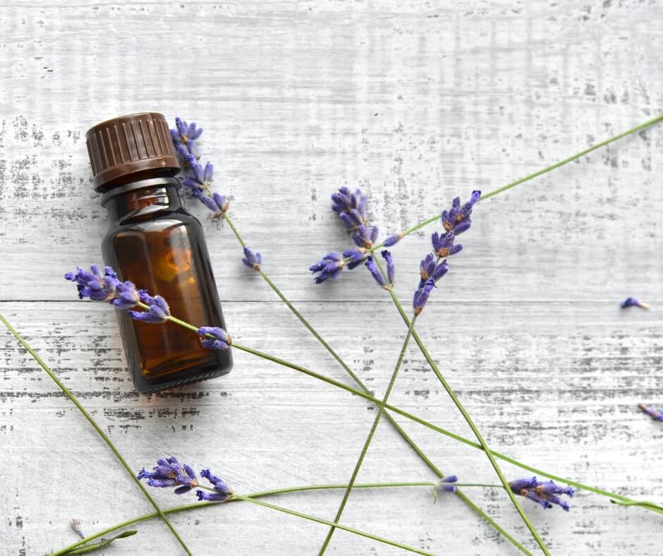 benefits of lavender and magnolia oils