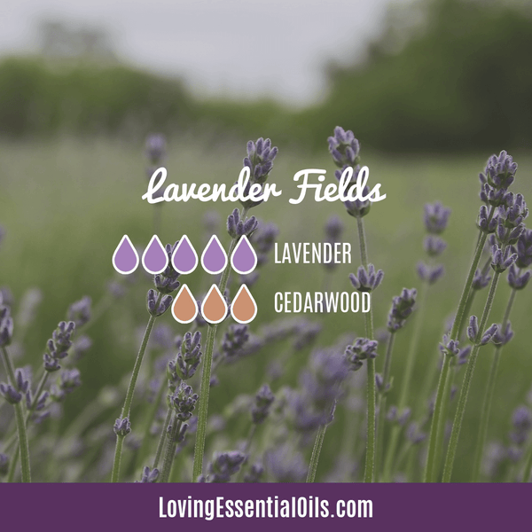 Lavender Essential Oil For Diffuser by Loving Essential Oils | Lavender Fields with lavender and cedarwood essential oils