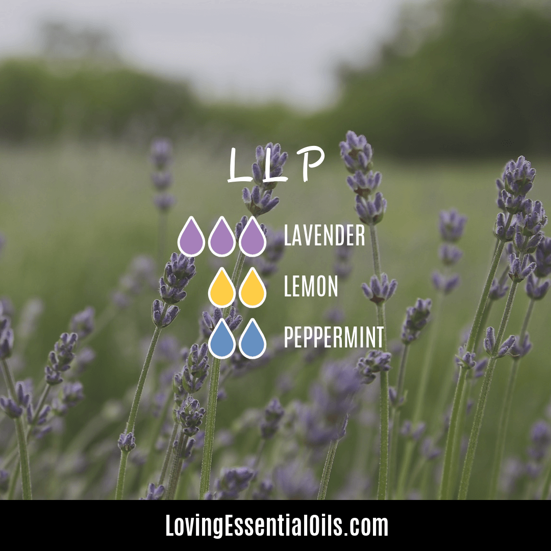 Lavender Lemon Peppermint Diffuser Blend - LLP By Loving Essential Oils