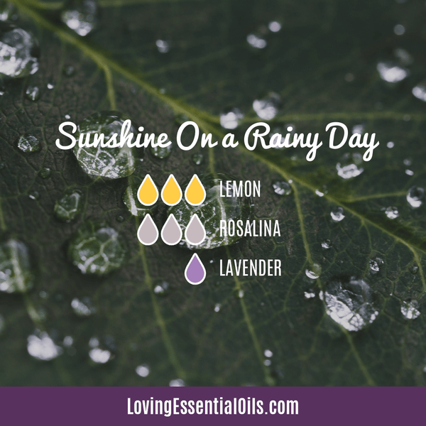 Lemon essential oil mixes well with by Loving Essential Oils | Sunshine on a Rainy Day with rosalina and lavender