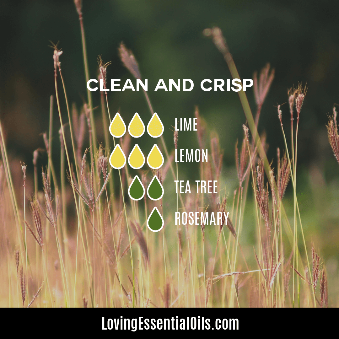 Lemon tea tree diffuser blend - Clean and Crisp