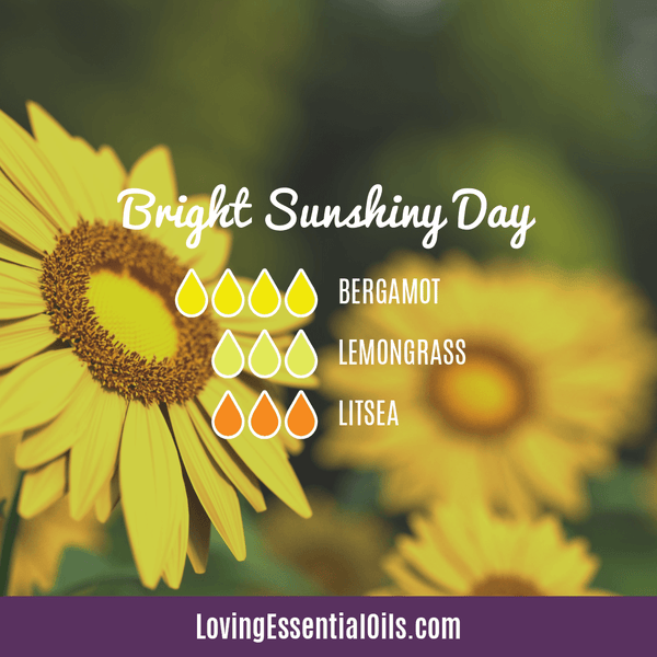 Lemongrass Diffuser Blend by Loving Essential Oils | Bright Sunshiny Day with bergamot, lemongrass ,litsea