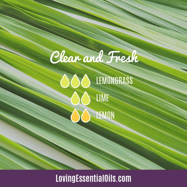 Lemongrass Essential Oil Blends by Loving Essential Oils | Clear and Fresh with lemongrass, lime and lemon