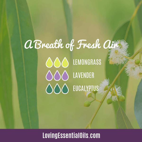 Lemongrass Diffuser Blends by Loving Essential Oils | A Breathe of Fresh Air with lemongrass, lavender and eucalyptus