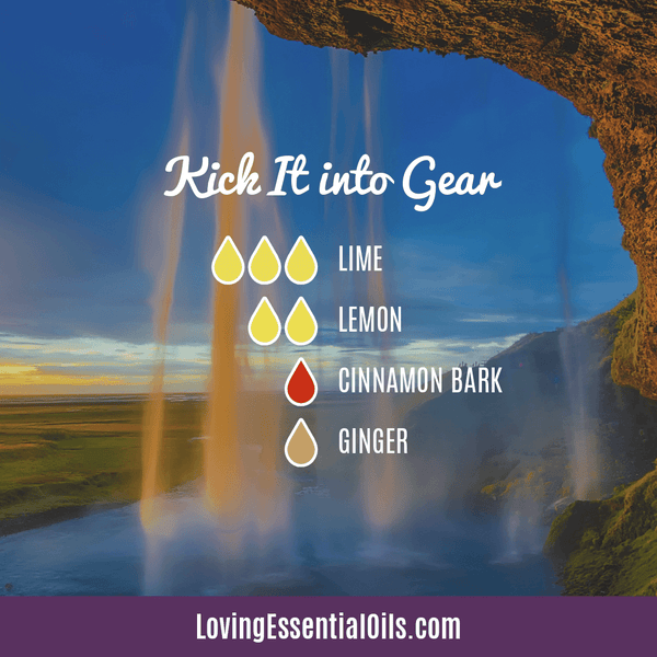 Lime Diffuser Oils by Loving Essential Oils | Kick it into Gear with lime, lemon, cinnamon bark and ginger