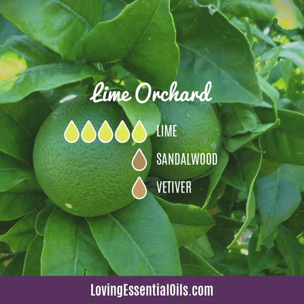 Lime Aromatherapy Blends by Loving Essential Oils | Lime Orchard with lime, sandalwood, and vetiver