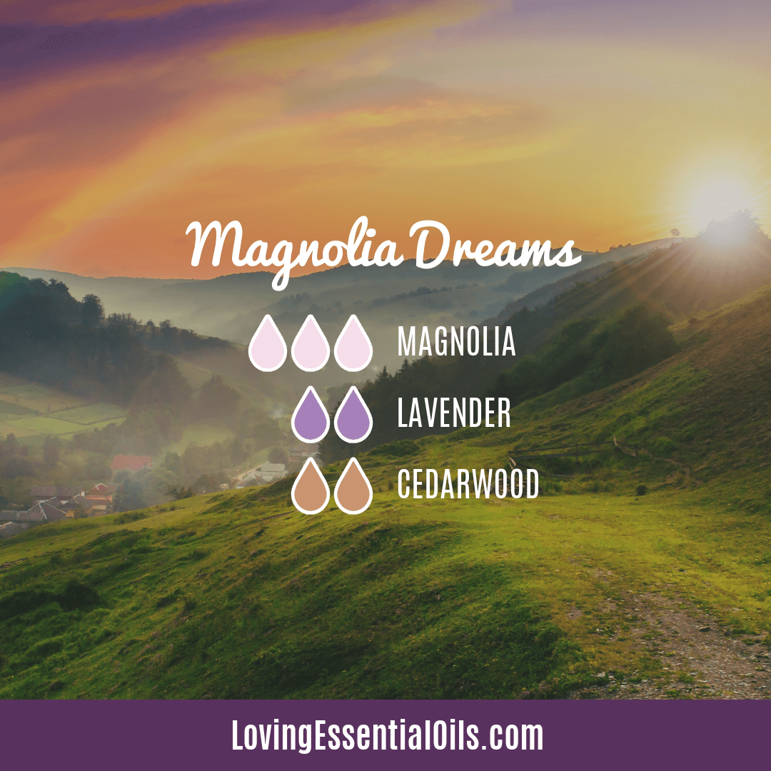 Magnolia Essential Oil Uses, Benefits and Recipes Spotlight