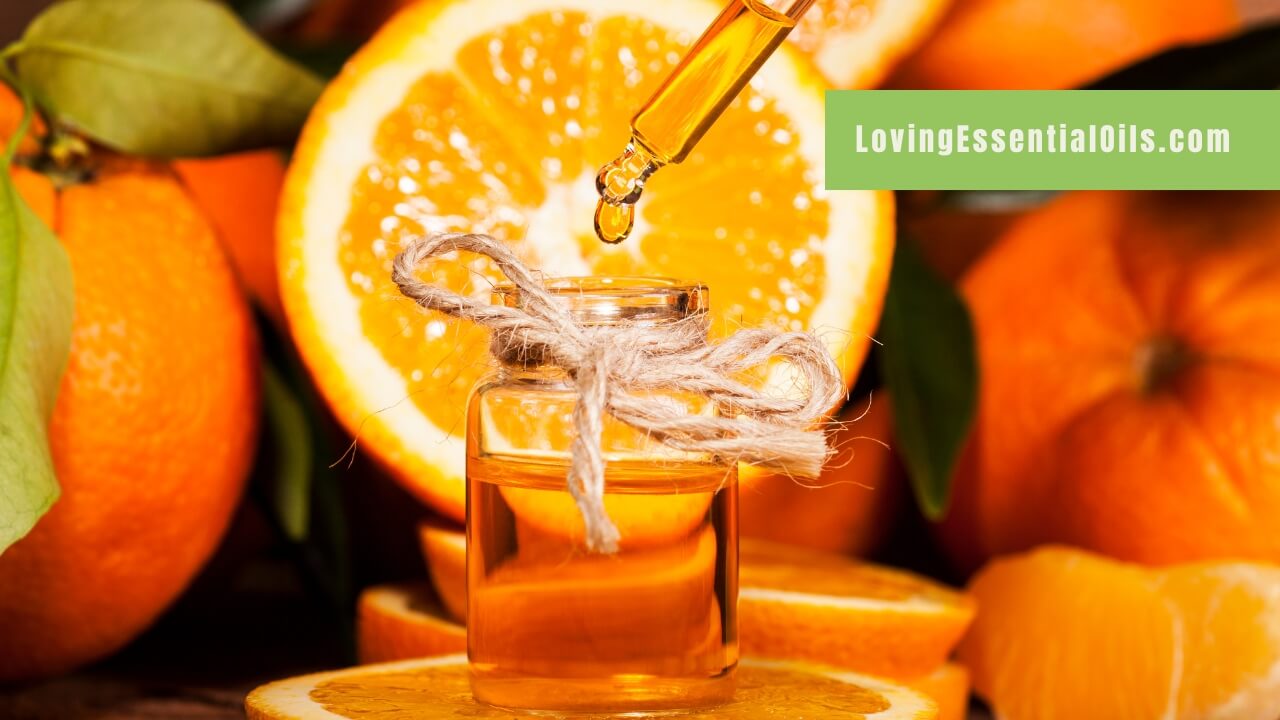 Mandarin and ginger essential oil blend by Loving Essential Oils