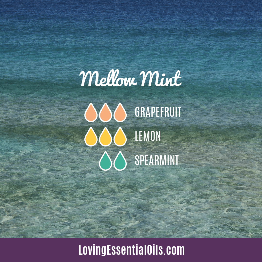 Mellow Mint Diffuser Blends by Loving Essential Oils