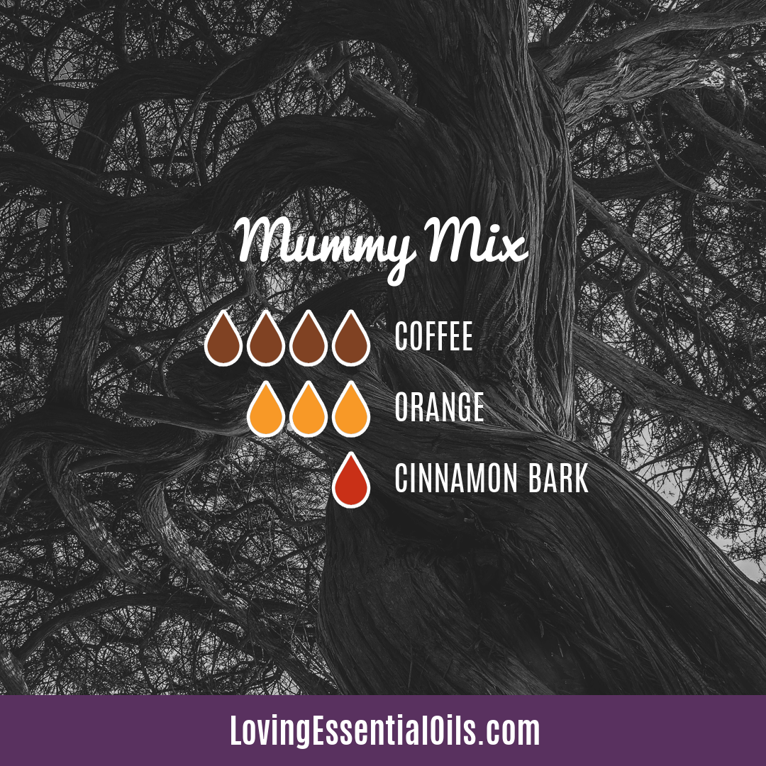Mummy Mix Diffuser Blend for Halloween by Loving Essential Oils with coffee, orange, and cinnamon bark