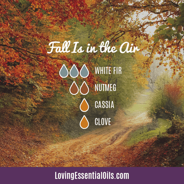 Diffuser Blends with Nutmeg Essential Oil by Loving Essential Oils | Fall is in the Air Diffuser Blend with Silver fir, nutmeg, cassia and clove essential oils!