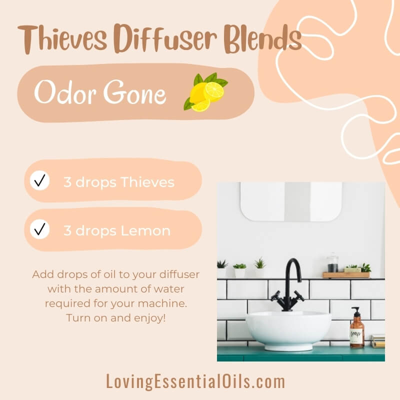 Thieves Diffuser Blend - Odor gone with Lemon essential oil by Loving Essential Oils