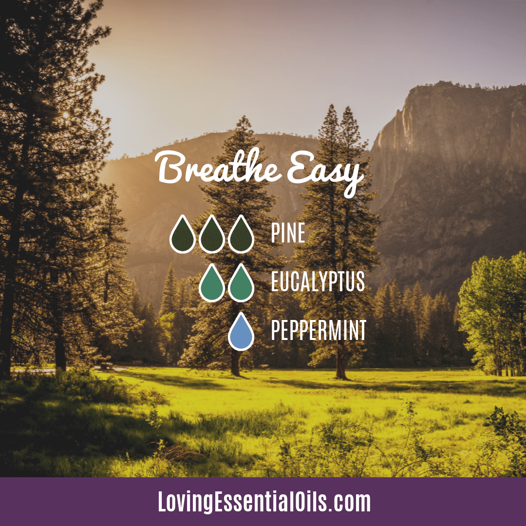 Pine Diffuser Blend - Breathe Easy by Loving Essential Oils with eucalyptus and peppermint