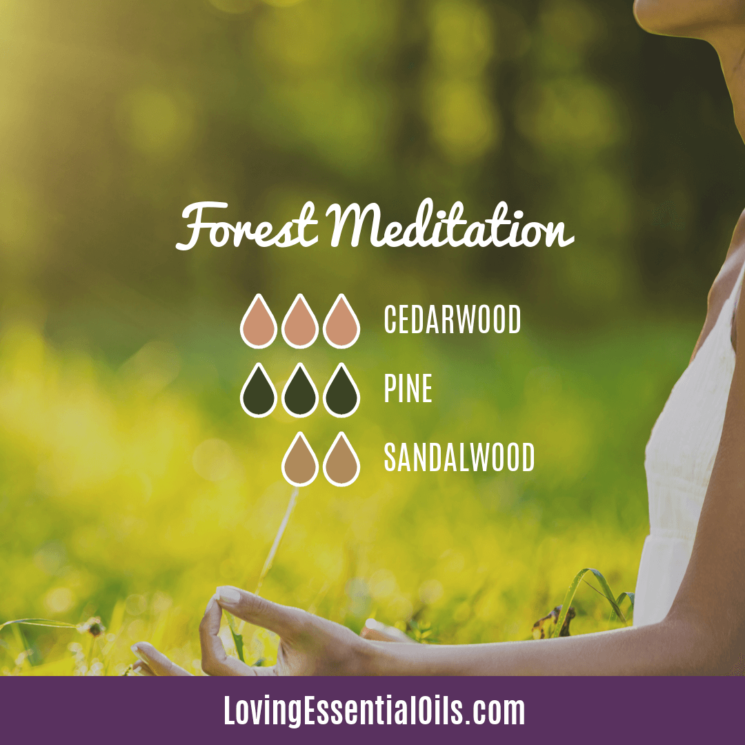 Pine Diffuser Recipe - Forest Meditation by Loving Essential Oils with sandalwood and cedarwood