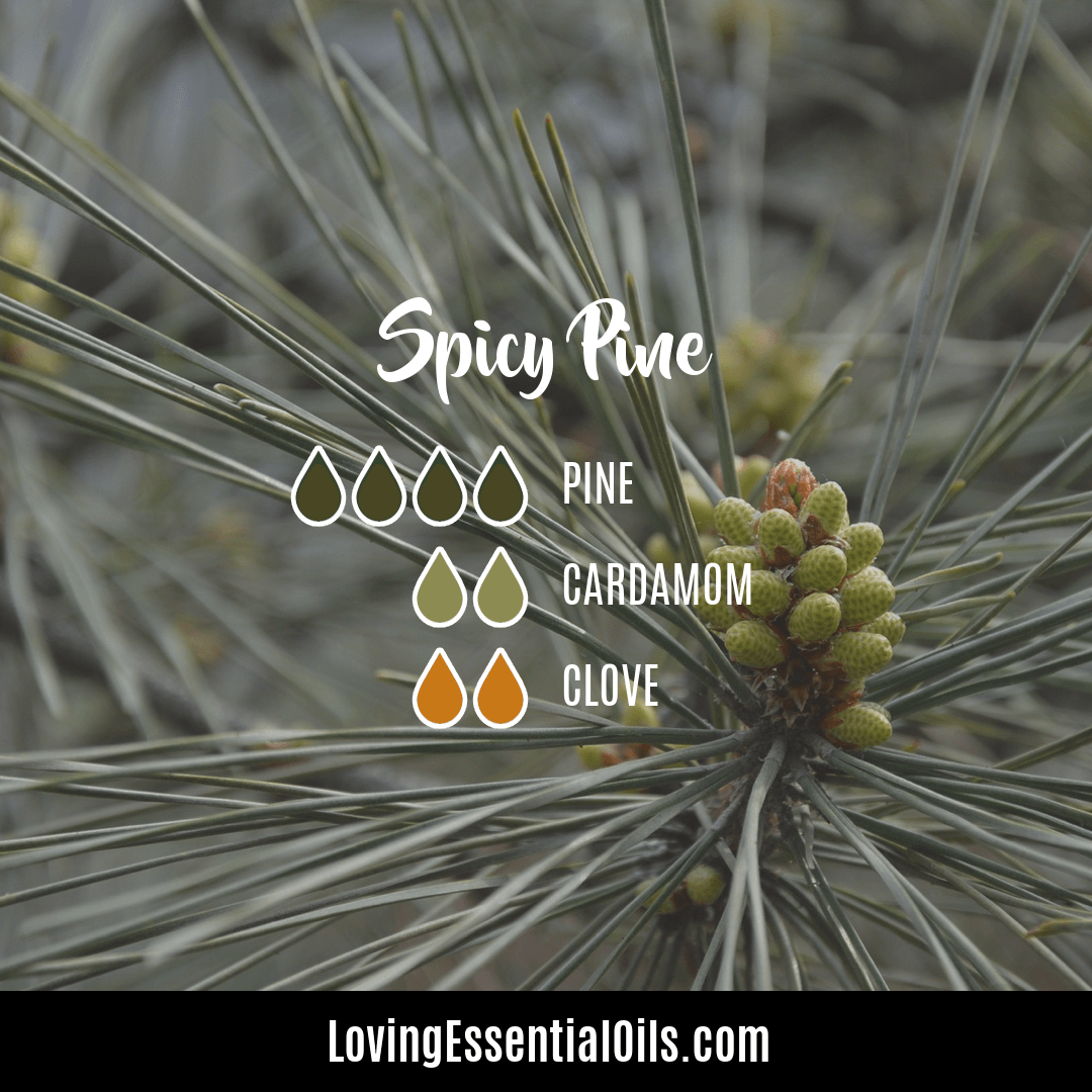 Pine Essential Oil Blend Recipes by Loving Essential Oils
