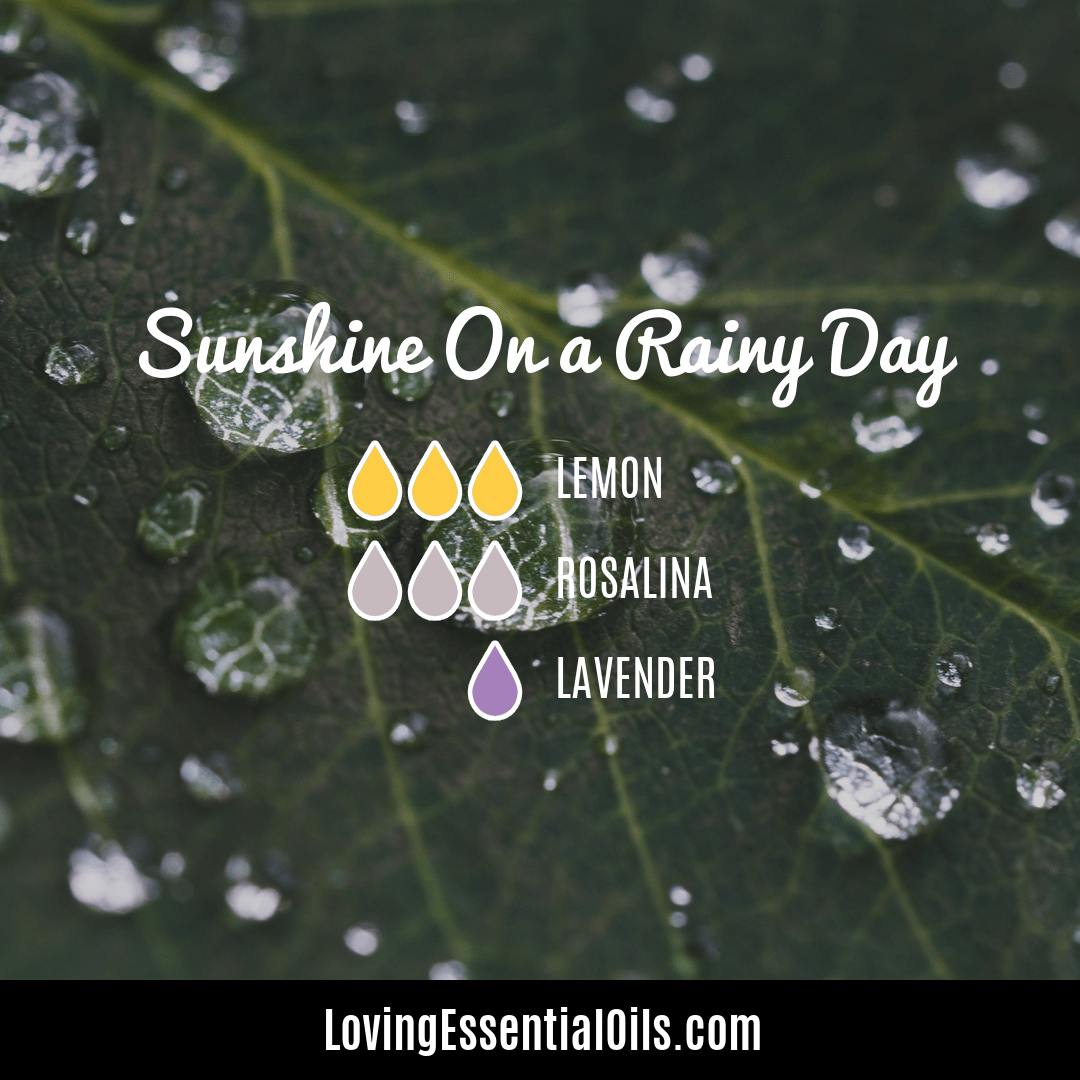 Rain day diffuser blends by Loving Essential Oils
