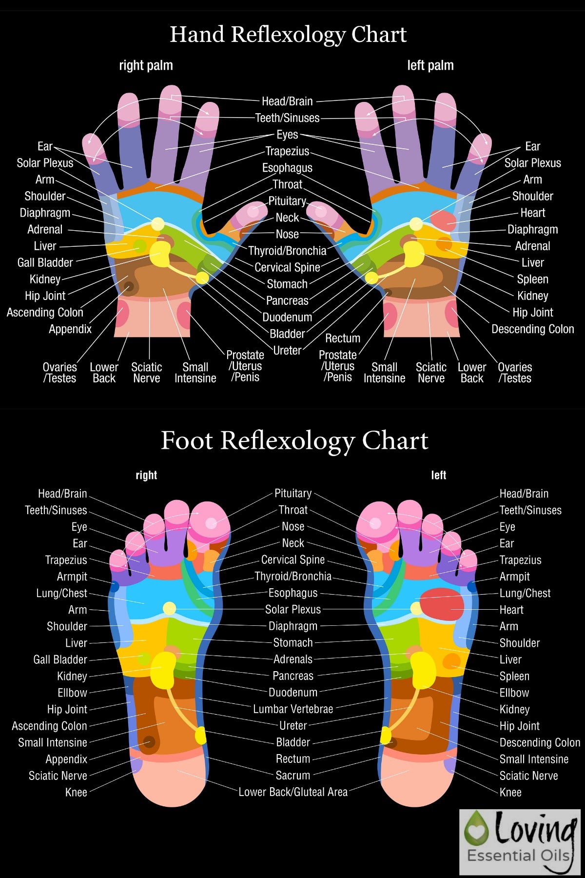 Essential OIl Chart for Hand Reflexology
