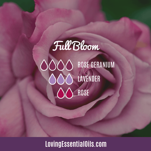 Rose Absolute Diffuser Blend - Full Bloom by Loving Essential Oils
