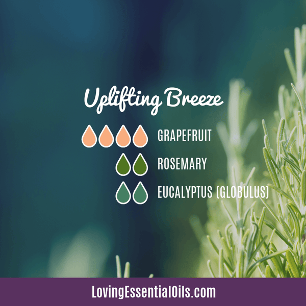 Rosemary Oil Diffuser Blend - Uplifting Breeze by Loving Essential Oils
