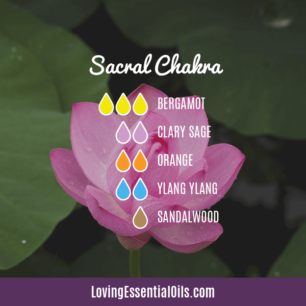 Sacral Chakra Essential Oils Let Creativity And Abundance Flow 