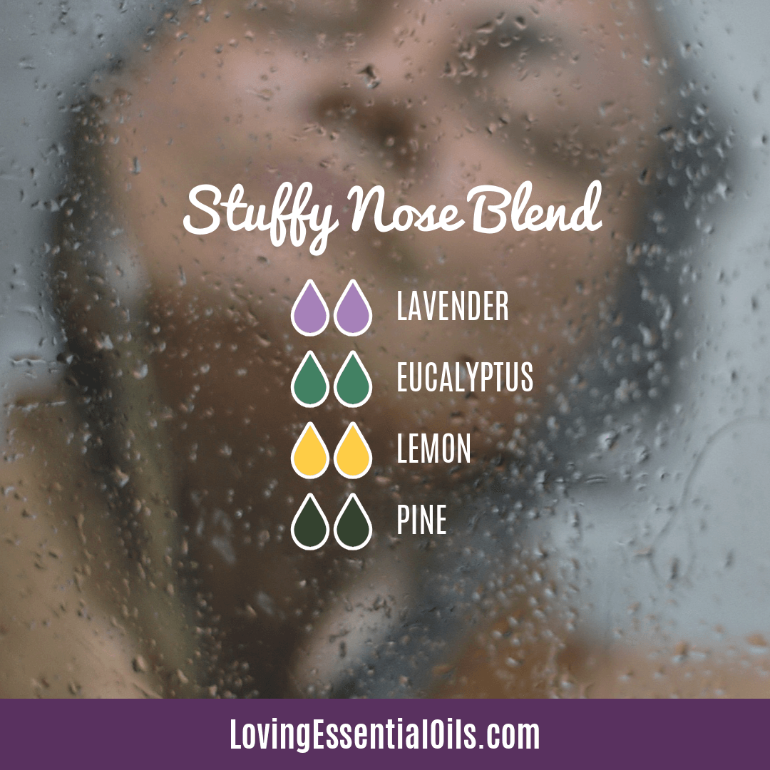 Seasonal Allergy Diffuser Blends - Stuffy Nose Blend by Loving Essential Oils with lavender, eucalyptus, lemon, and pine